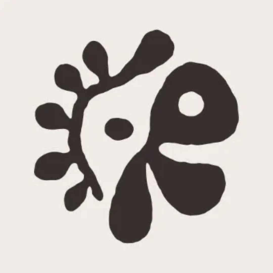 【现货包邮】CORTIS专辑周边合集