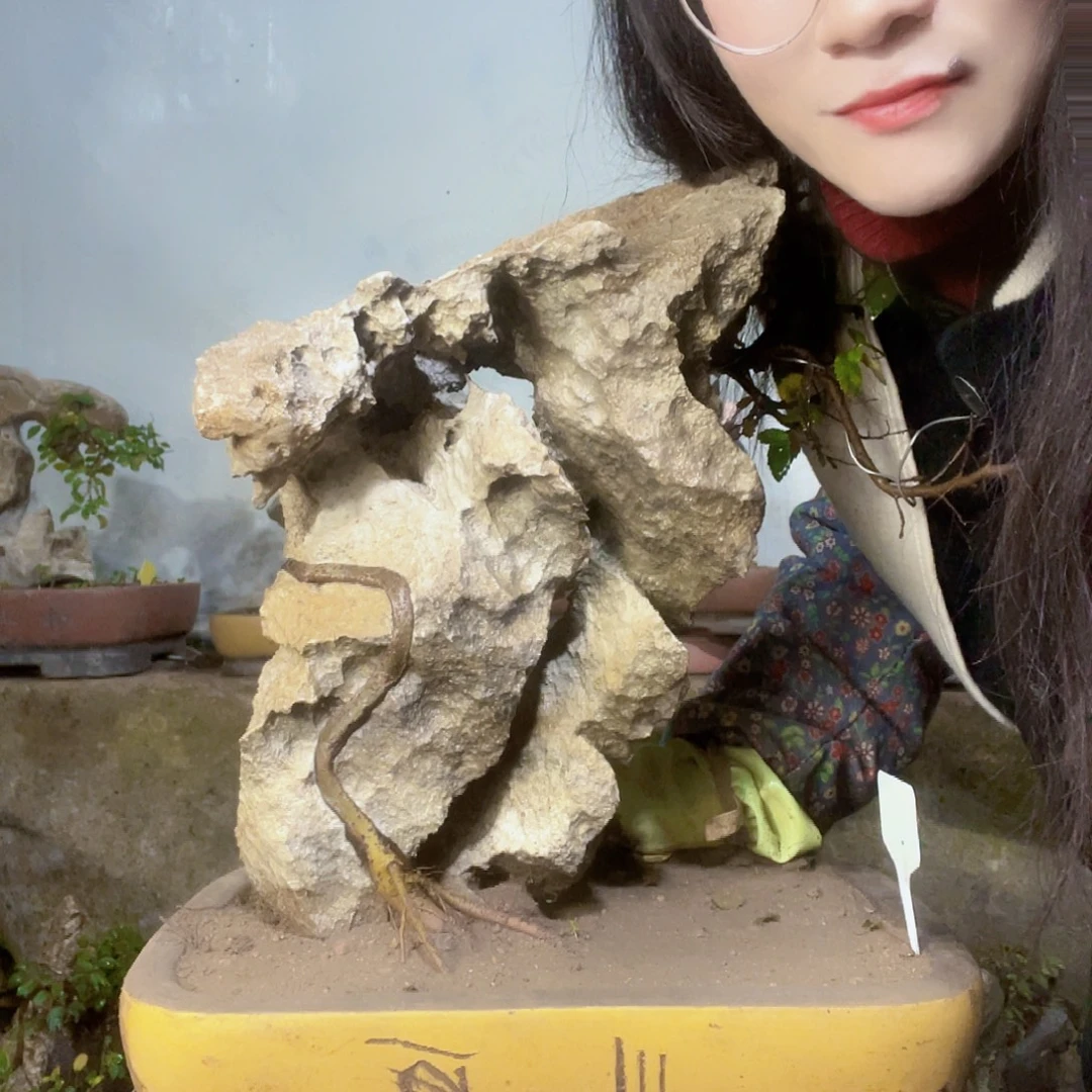 叁***无花朵花直播间不见不散