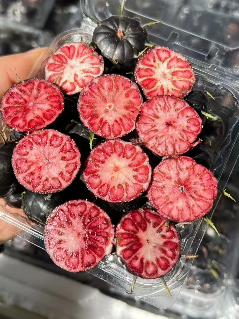 加国红桃 新鲜水果