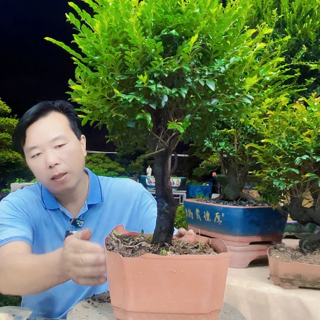 无花朵哇**颖秀明园艺秀明园艺