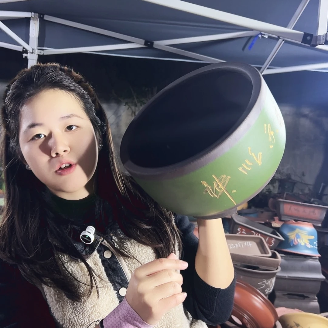 30描金球盆花盆花盆花盆