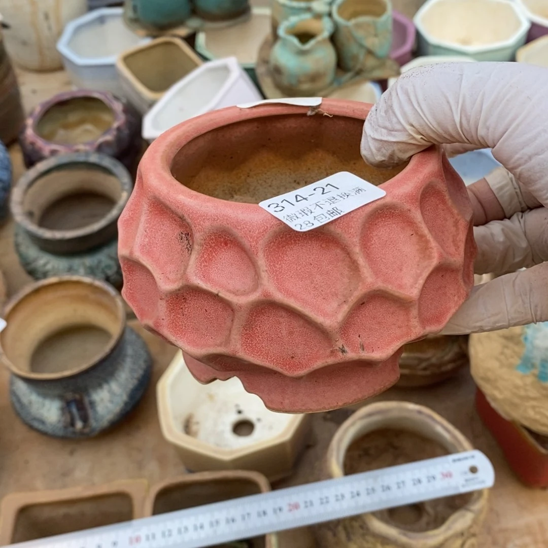 东*21号的人盆一个