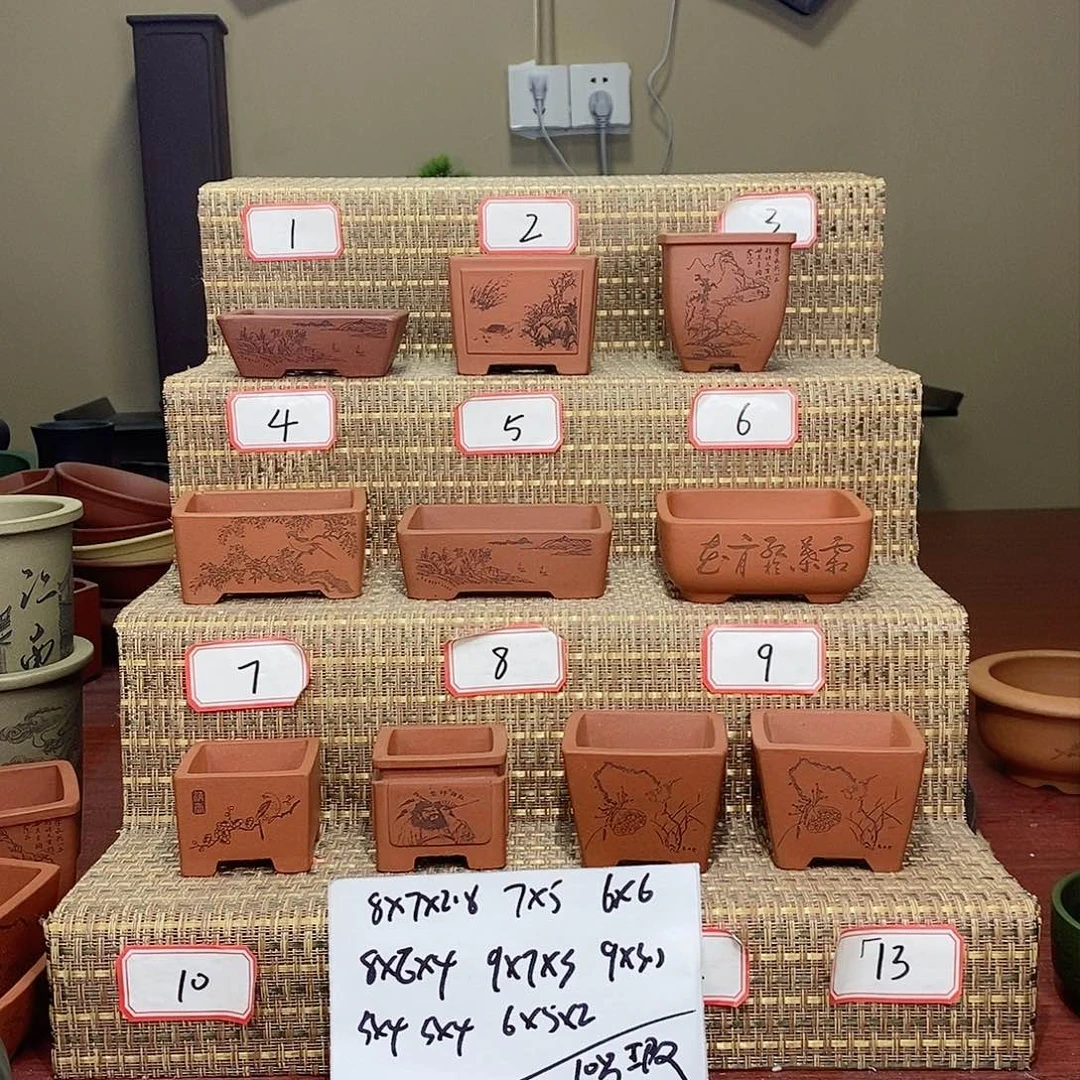 紫砂花盆我在等一