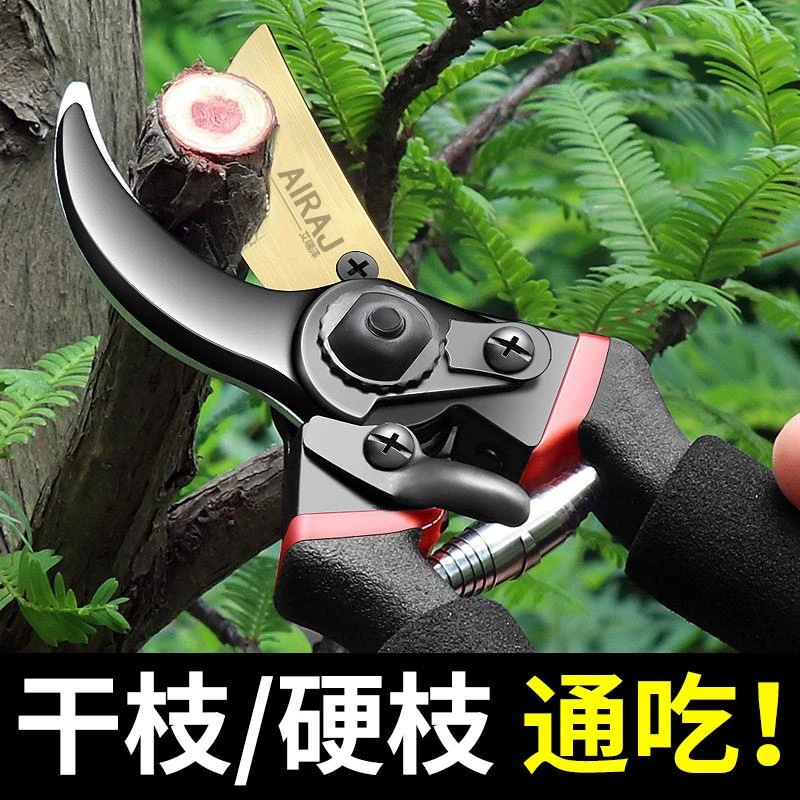 园林剪刀修剪树枝剪果树园艺剪刀花艺剪枝剪刀修枝剪刀