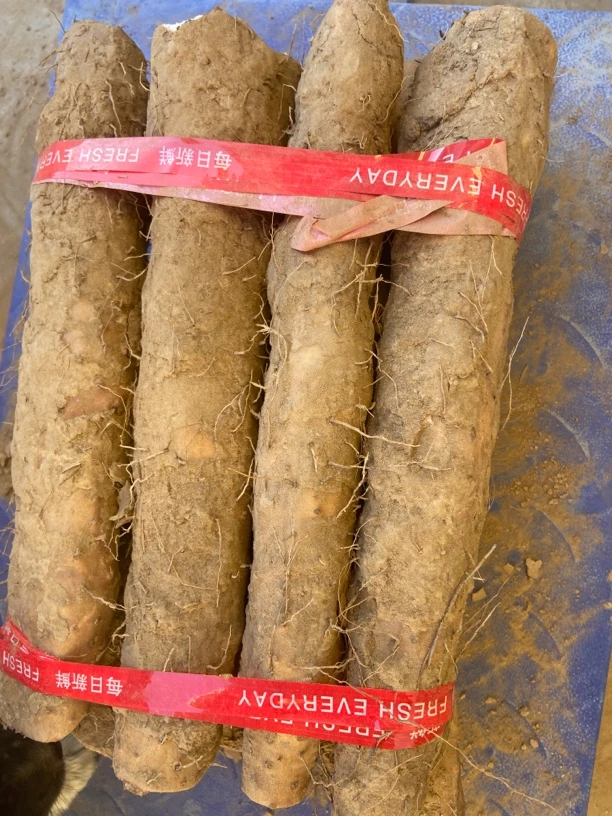 河北蠡县正宗铁棍山药产地直发软糯香面5斤