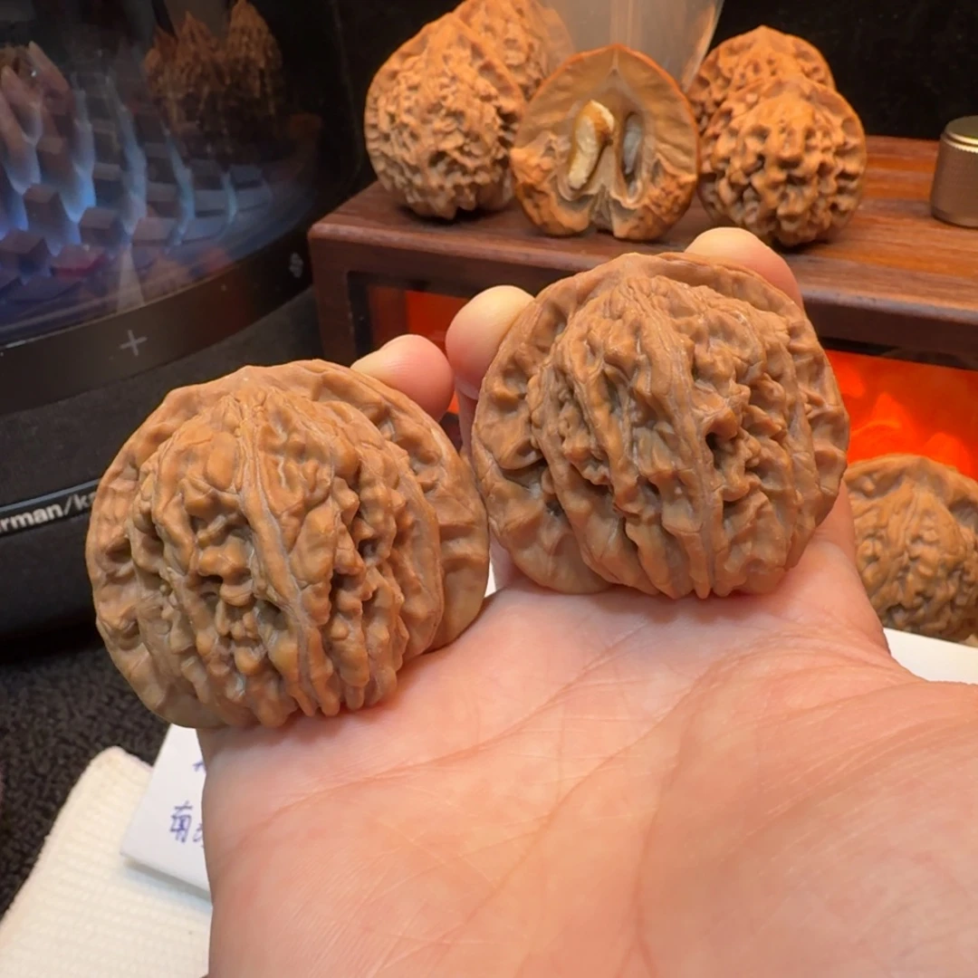 发***哥文玩核桃把件46+老树楼