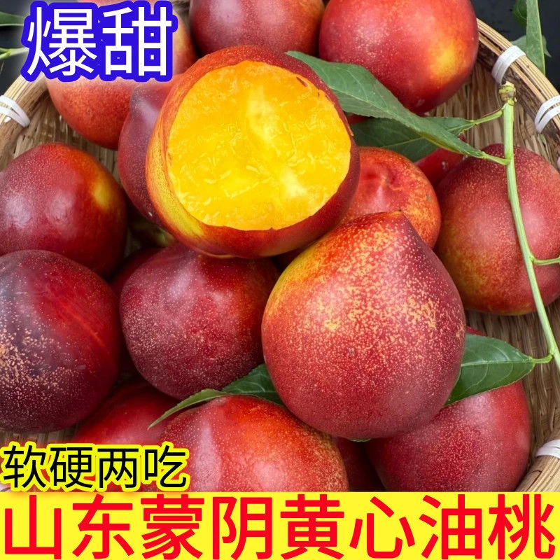 【山友佳】山东蒙阴露天爆甜大油桃整箱批发新鲜当季脆桃新鲜