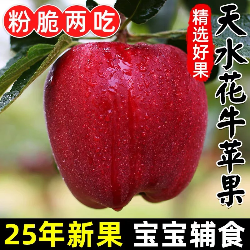 甘肃天水花牛苹果脆粉两吃品质严选拒绝拉长果【精品装陕西仓发货】