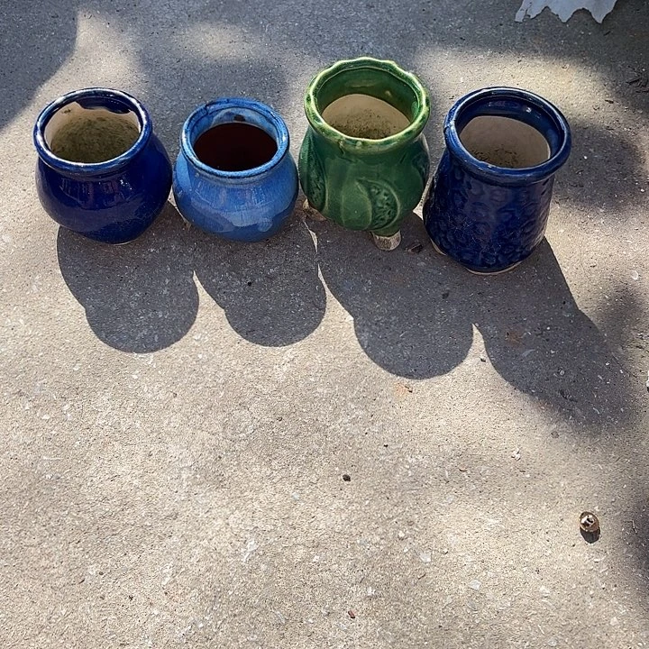 微瑕随机八个盆子