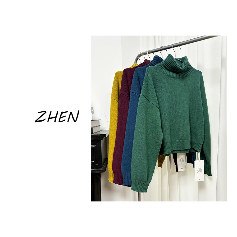 【ZHEN】K1160 2025新款时尚气质休闲百搭毛衣上衣女