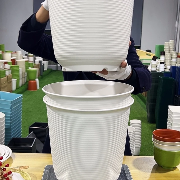 正品高陶口30高31白色3只无托