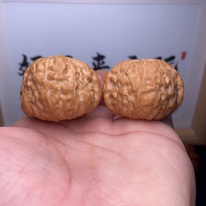 核桃全品小南瓜墩