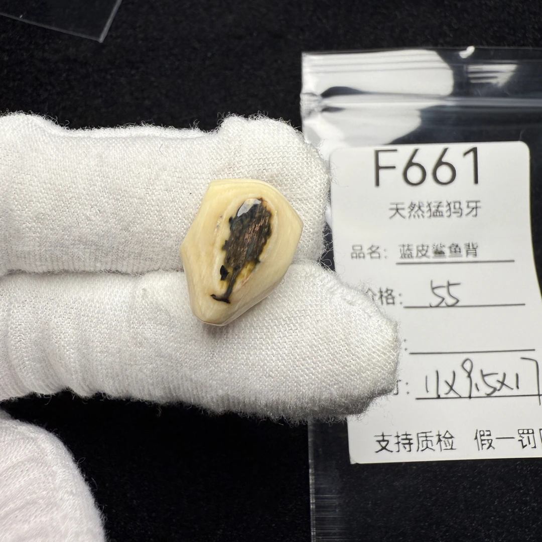 F661天然猛犸象牙蓝眼蓝皮鲨鱼背蓝眼睛三通冰料11*9.5*17mm