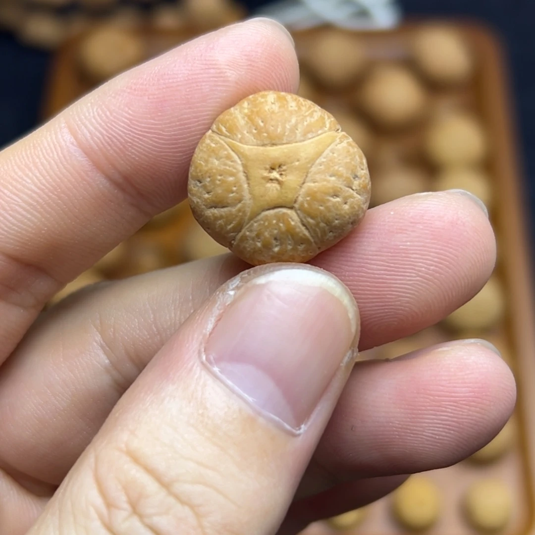 手串凤眼菩提20+麒麟眼