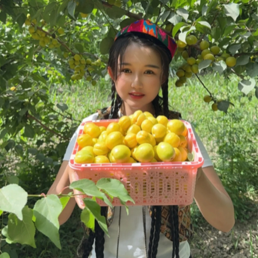 新疆轮台小白杏当季新鲜水果甜润可口爆汁老少皆宜新疆果园直发