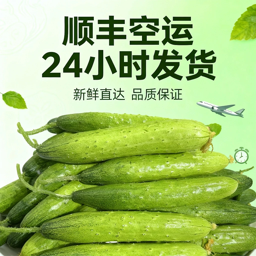 晨阳家小嫩美优旱黄瓜（顺丰空运）