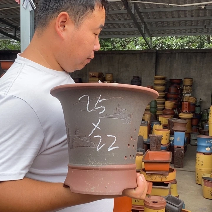 紫砂花盆紫砂花盆盆栽盆栽花卉苗木
