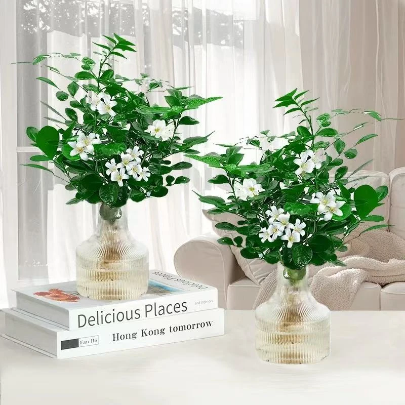 【买一送一】水培九里香盆栽室内开花植物办公桌面观叶美观鲜活植物