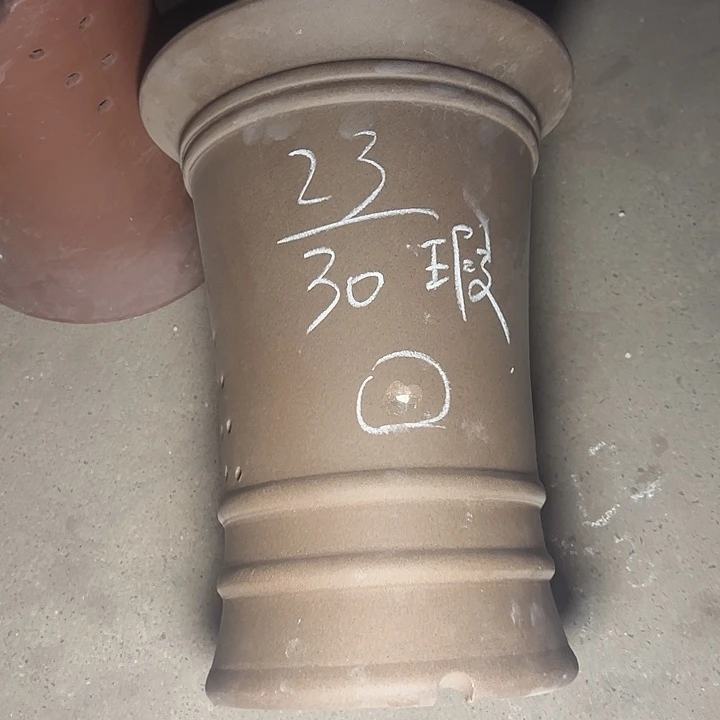 周深周深周深周深周深