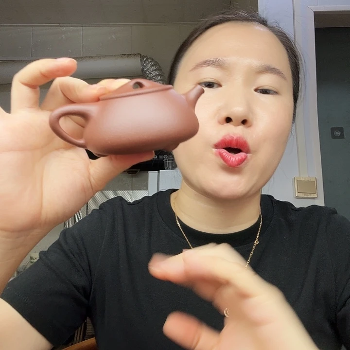 茶壶紫砂原矿半手工景州石瓢150cc