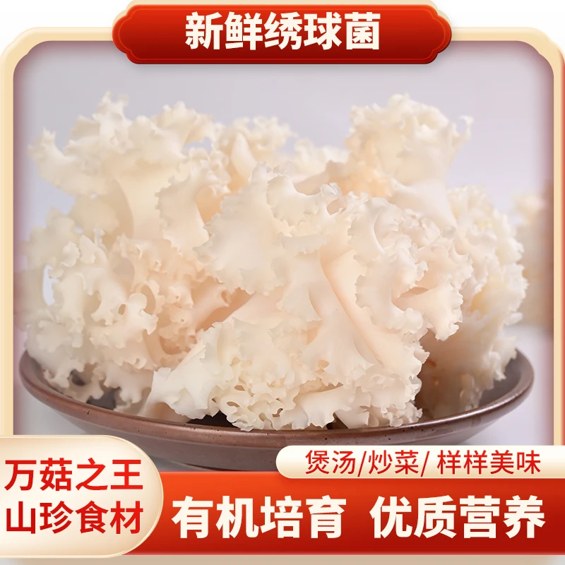 新鲜绣球菌食用菌菇自然银耳菌鲜美滋补可口山珍云南菌子特产