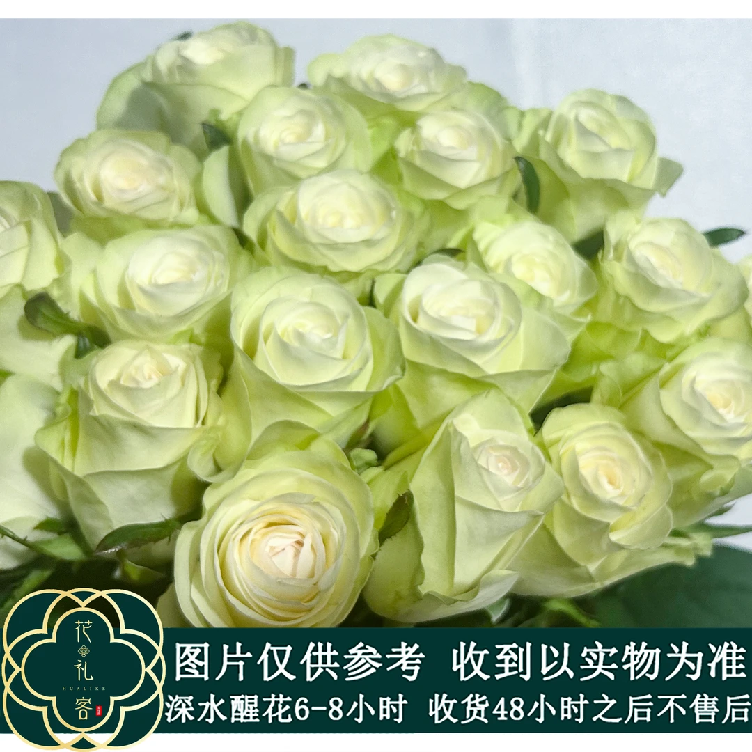 七叶花坊# 【皇家礼炮】云南品质鲜花优选 顺丰直发