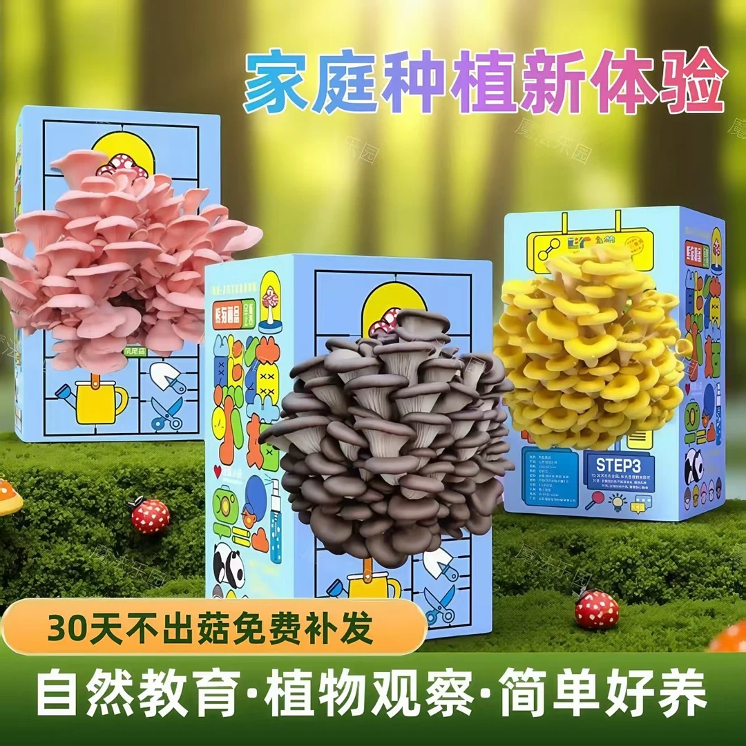 蘑菇种植菌包平菇蘑菇盒家庭室内种植蘑菇科学小实验儿童益智玩具