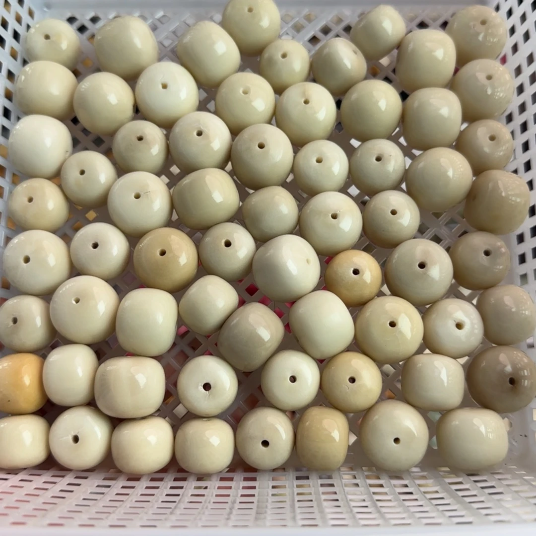 吊坠菩提根/象牙果微瑕牙果桶6颗