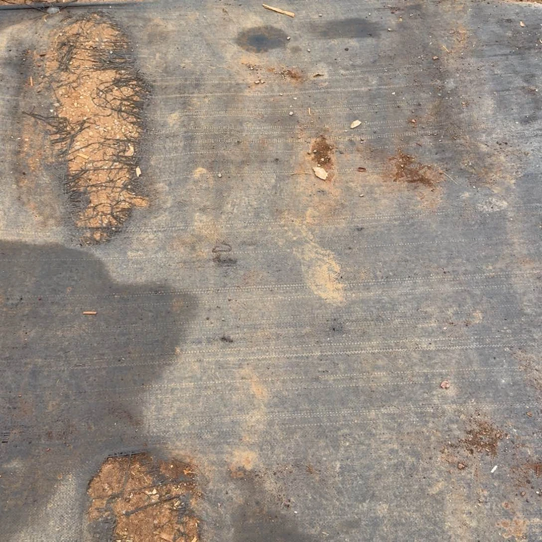 蓝安娜火焰杯切糕一盒量拍26-96