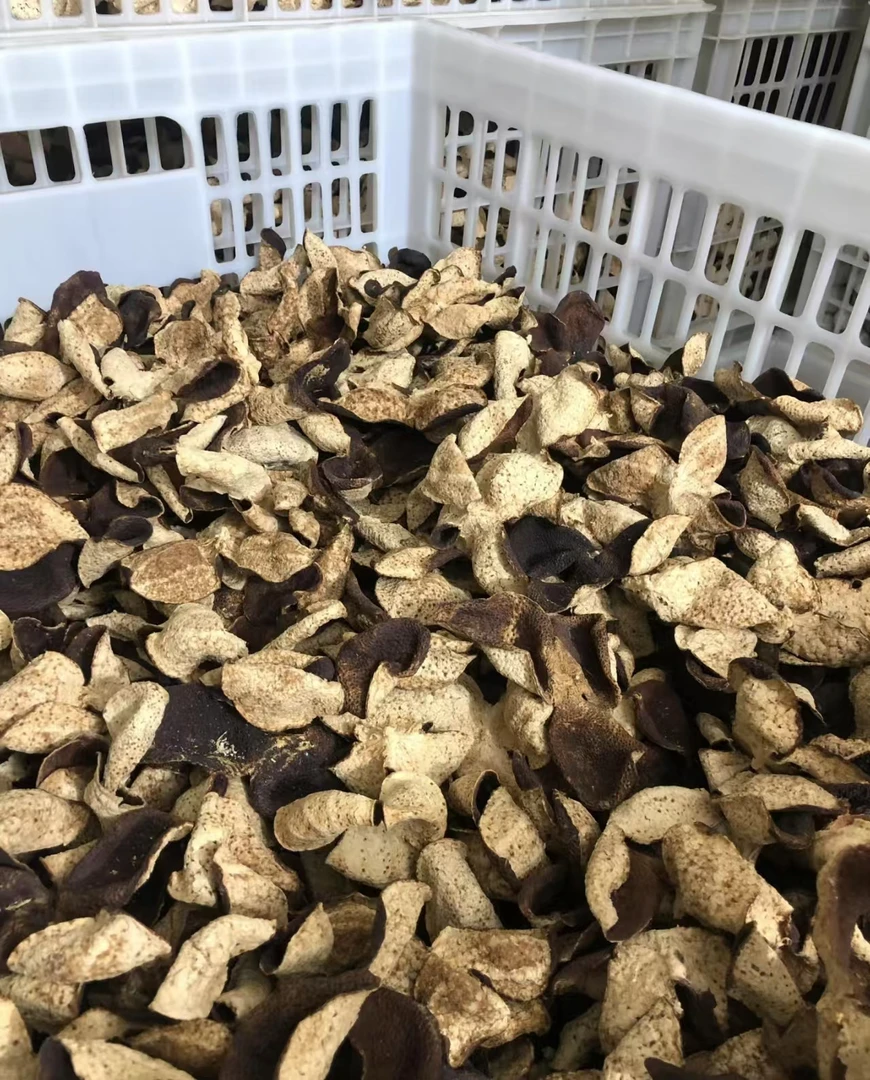 【2019年天马圈枝大红皮】正宗天马圈枝老树自然日晒陈皮干仓储存