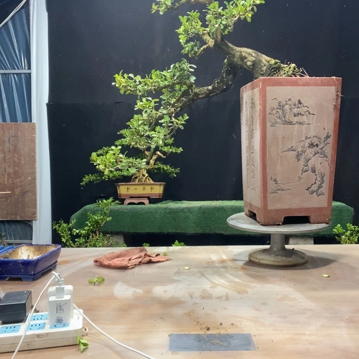 无花朵黄杨木雕作品欣赏
