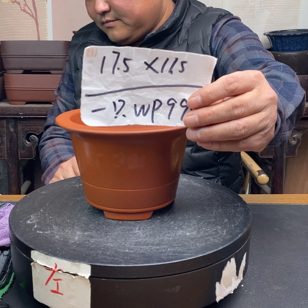 紫砂货号一只WP999