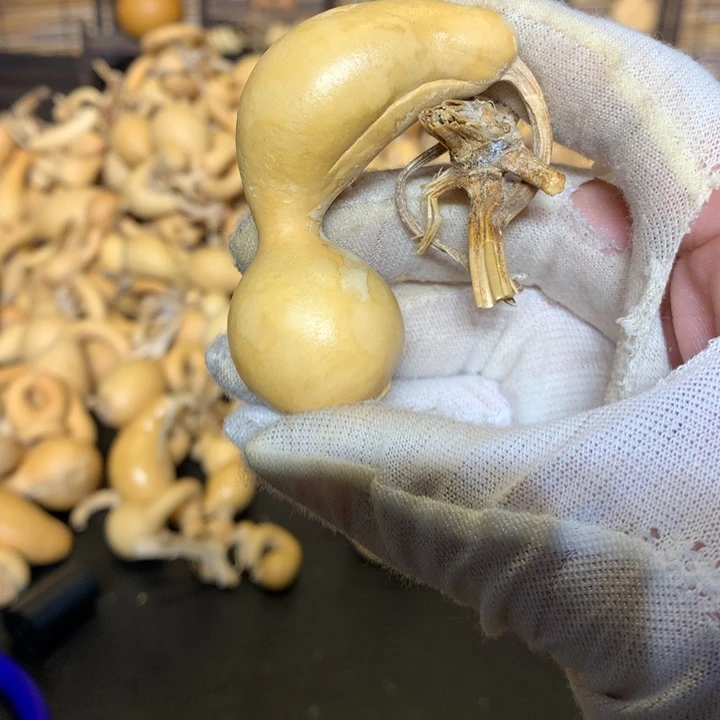 奶香奶酥蛋糕是最