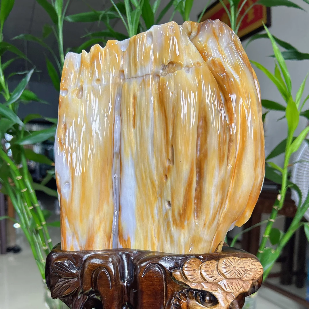 高38Cm重13.5斤树化玉木化玉摆件