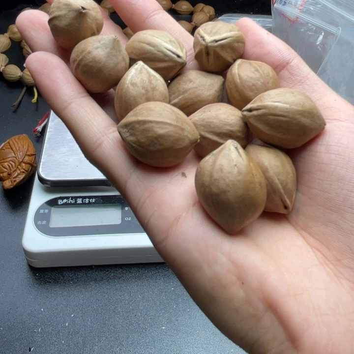 手串/手链橄榄核1.8