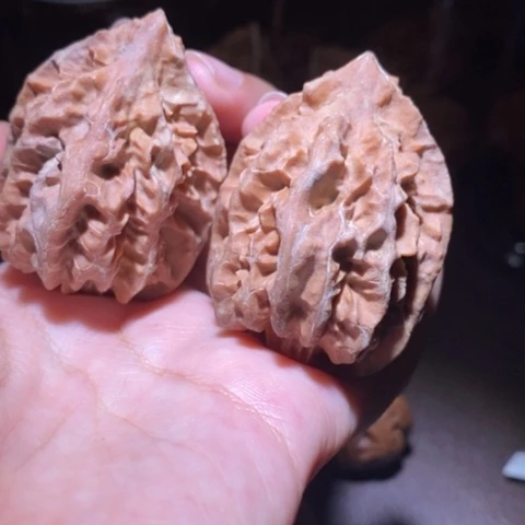 把件文玩核桃东北野生楸子小园 131