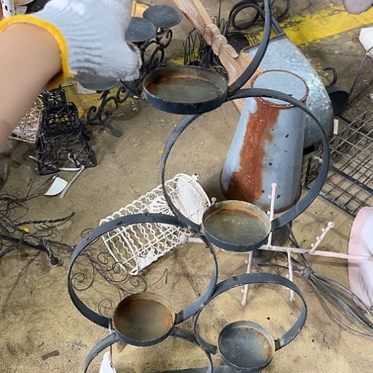 哈哈哈哈哈哈可可爱爱