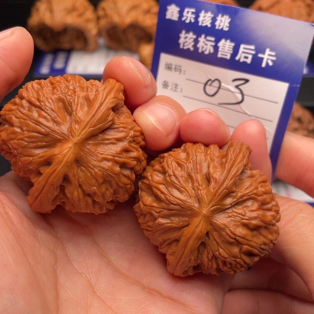 把件文玩核桃精品白狮子42尺03号
