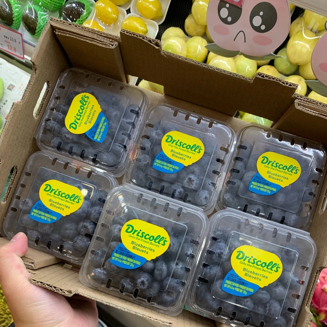 主播宠粉新粉老粉快来蓝莓椰子