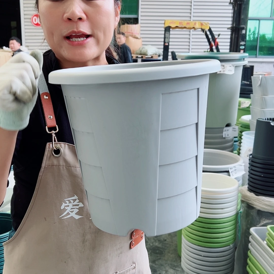 玫瑰280#灰白色5个无托