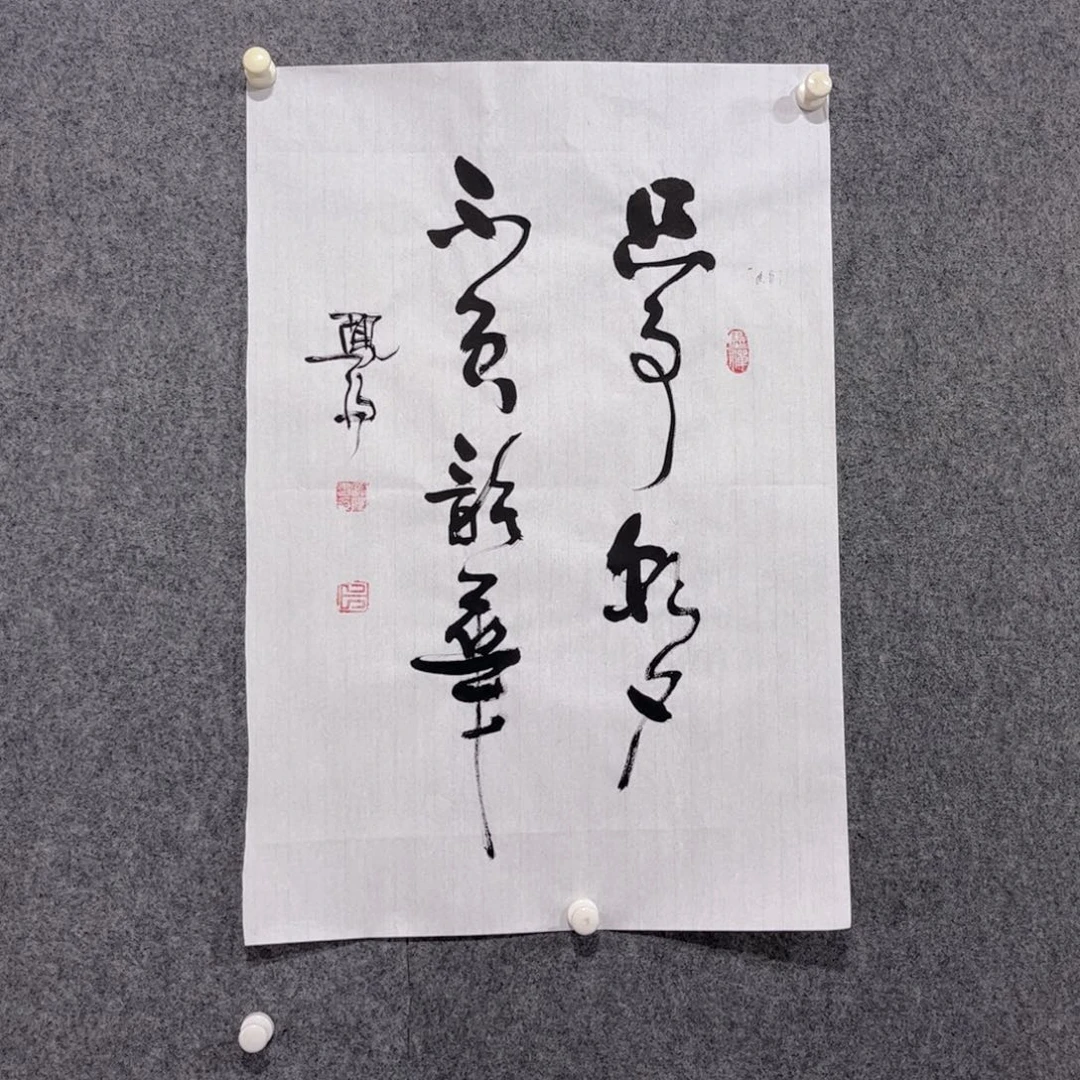 书法87卜凤阳书法作品