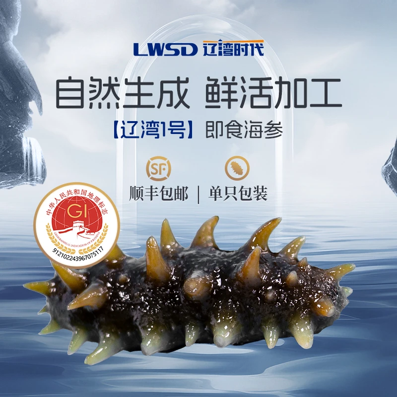 【辽湾时代】即食海参大连正宗即食海参新鲜辽参源头工厂鲜辽湾1号