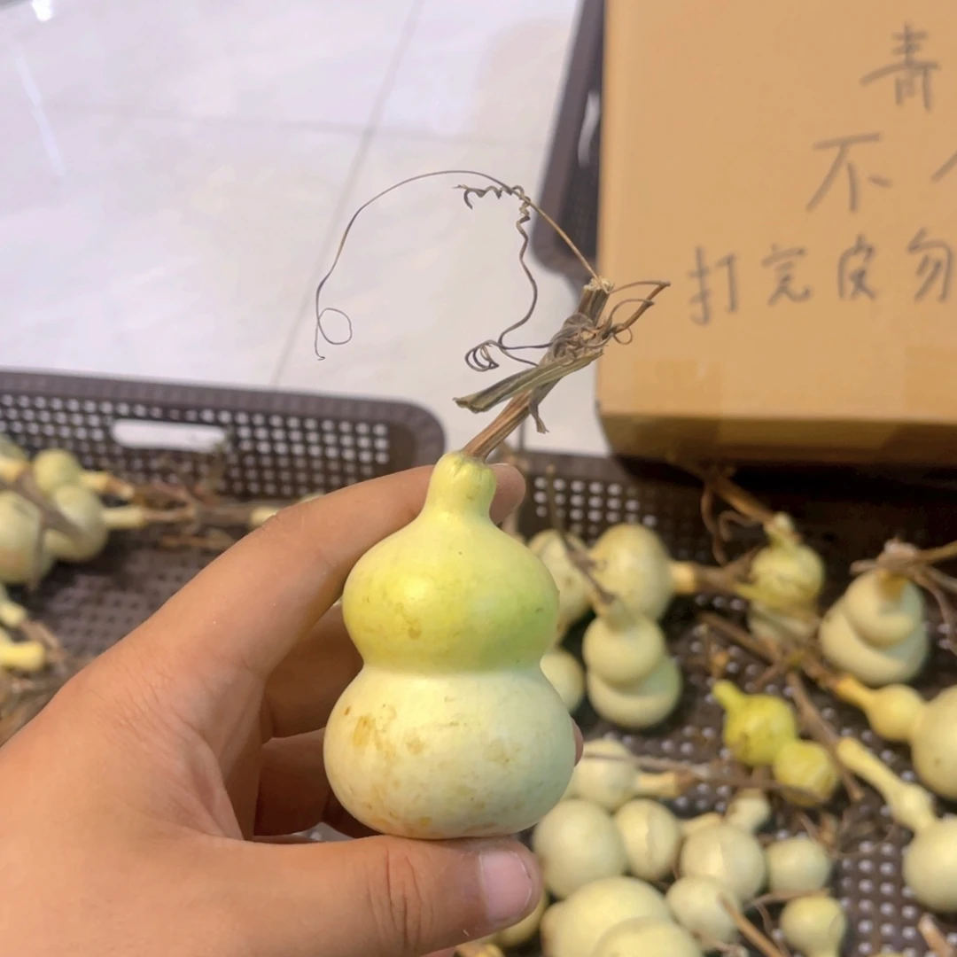 你****感谢大哥支持兄弟，不保成