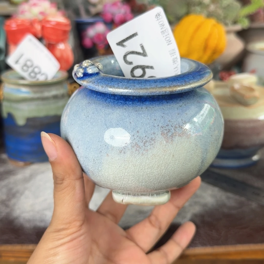 重庆小燕子欢迎大家921