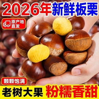 【买三送二】丹东高山老树脆甜粉糯香糯栗子可口自然成熟难剥皮B