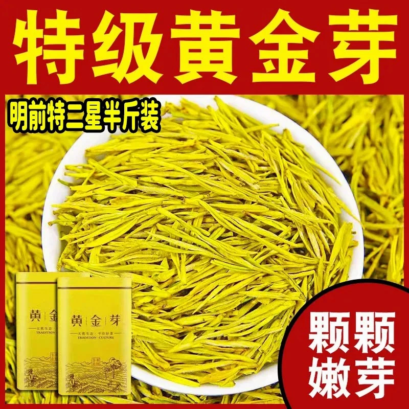 2025新茶明前【特二星半斤装】黄金芽高山绿茶浓香型茶叶黄金叶茶叶