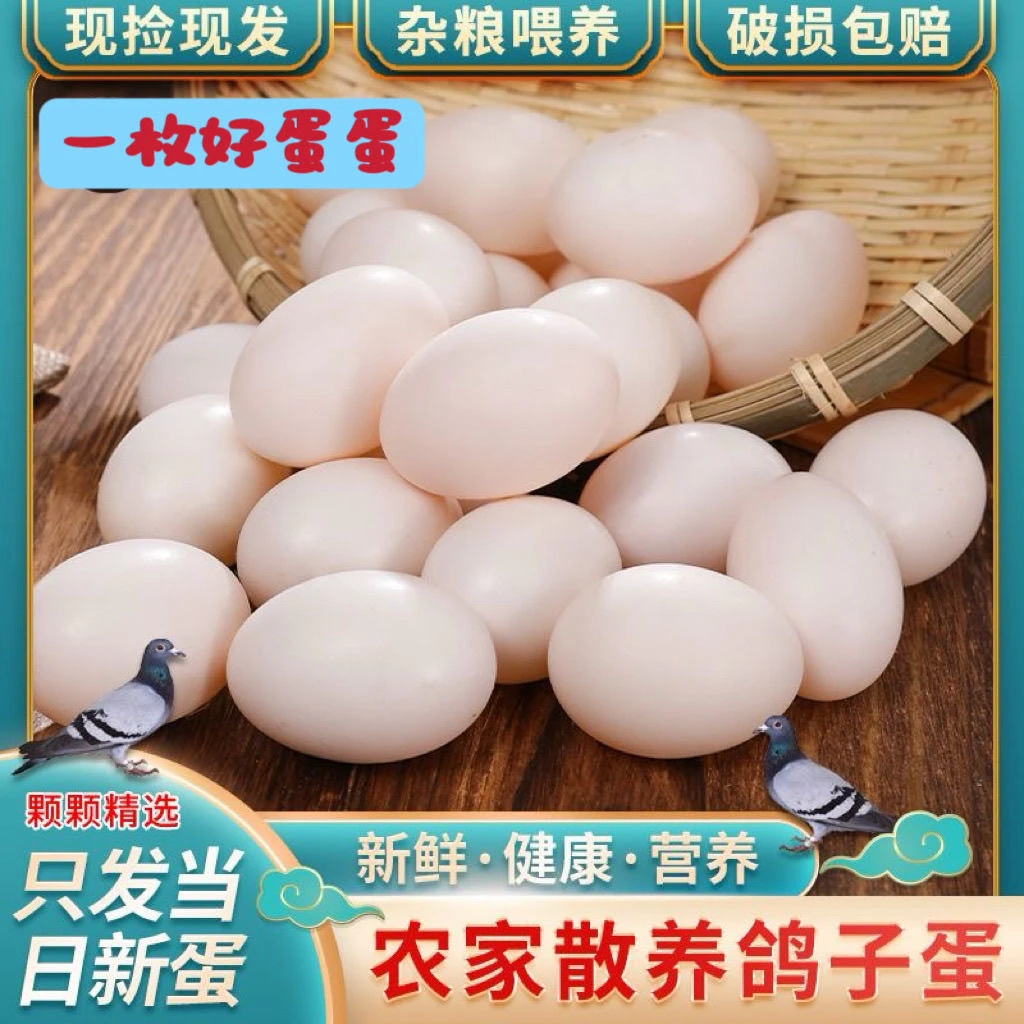 新鲜鸽子蛋30枚550克正宗白鸽蛋土五谷杂粮喂养孕妇宝宝营养生鲜
