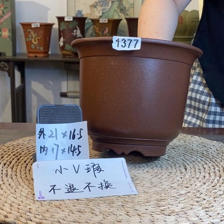 花盆紫砂  微瑕特价紫玉金砂金钟1377