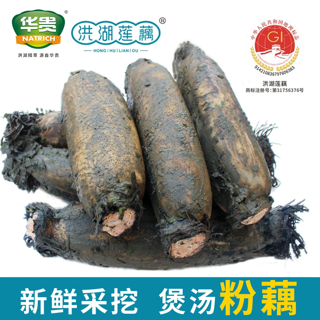 【洪湖粉藕】正宗莲藕煲汤粉藕三斤/五斤带泥发货湖北特产