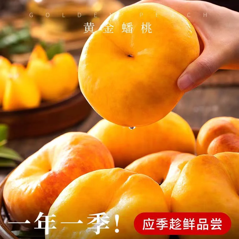 山东蒙阴黄毛蟠桃脆甜孕妇桃子软桃正宗大果黄桃黄毛蟠桃